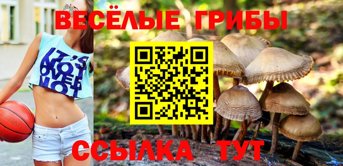 Галлюциногенные грибы ЛСД  как найти закладки  Надым  Вход с VPN 